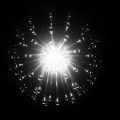 Licht im Gegenlicht Foto