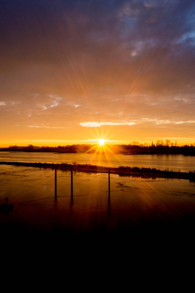 Sonnenaufgang Elbe Foto der Woche