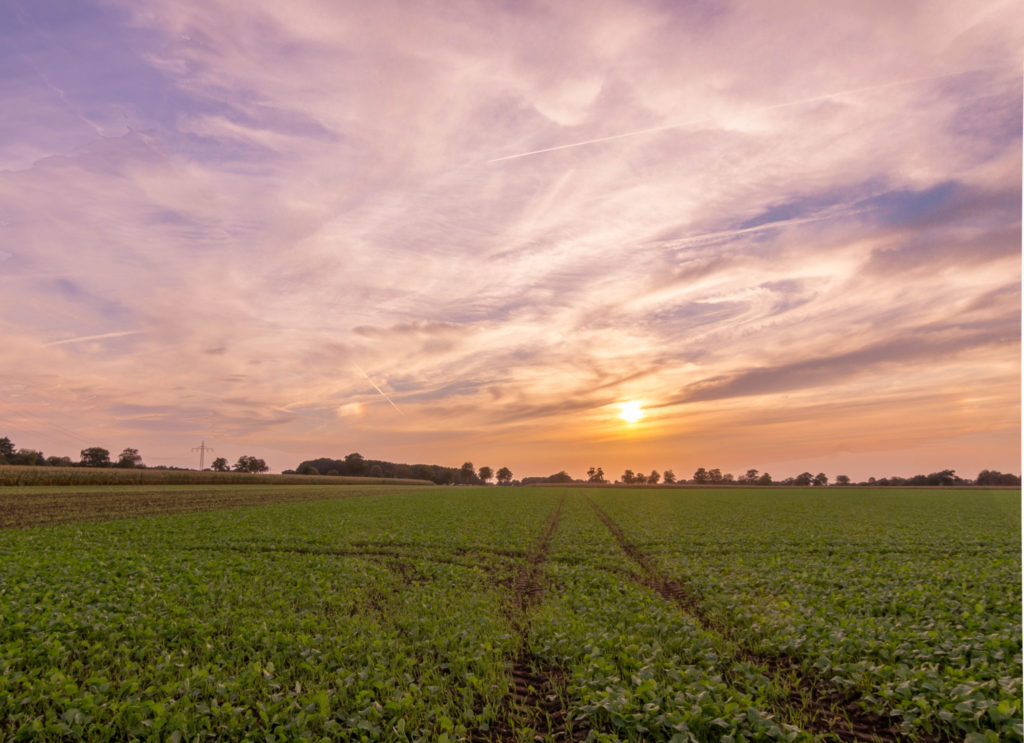 HDR Foto der Woche Tostedt